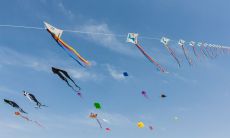 招财进宝中国娃娃阿姨(招财进宝中国娃娃)