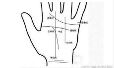 手相怎么看子女(子女缘手相怎么看)