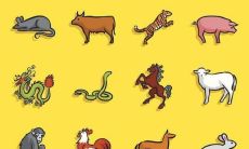 十二生肖配对吉凶表下(生肖表十二配对)