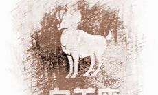 上升星座白羊座女体貌特征(上升星座摩羯座女很冷)