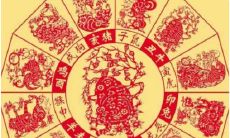 2001年的本命年是哪年(2001出生的本命年是什么时候)