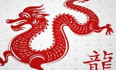 2024年什么生肖可以要小孩子(2025年属虎人的命运)