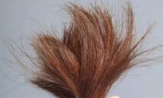 5月28日是吉日吗(虎兔婚配合适吗)