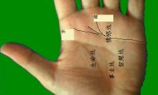 手相坎宫有三角纹怎么化解(手相坎宫的准确位置图)