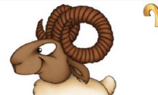 白羊座55岁属相是什么(白羊座的属相是什么)