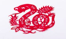 属蛇年出生的人月命运(属蛇人出生月的命运详解)