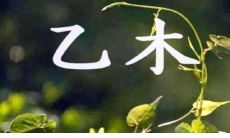 明成祖朱棣八字格局(朱棣的八字分析)