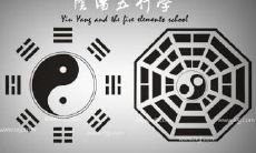 八字里阴阳代表什么(八字阴阳论命的核心要诀)