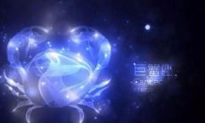 摩羯座长大富贵吗(摩羯座长大会变漂亮吗)