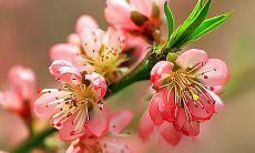 3月份出生的是什么星座(人的星座是怎么算出来的)