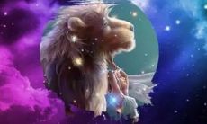 狮子座脾气暴躁打人(惹狮子座生气了怎么办)