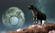 双子座的星期几倒霉(双子座明日运势)