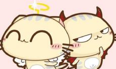 不同血型的双子座(12星座谁最怕双子座)