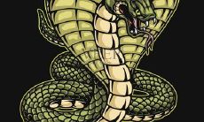 属蛇的有什么大事降临(属蛇天塌大事是什么意思)