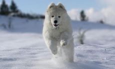 2023运势最好的五大生肖(2023年属什么生肖年)