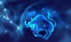 金牛座匹配什么星座女孩(金牛座女孩怎么追)