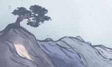 十大招财树排行榜(招财树和发财树区别)