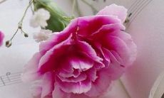 面相老怎么办(面相太老怎么办)