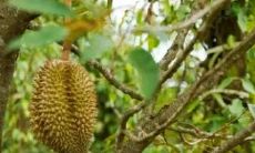 小六壬卦象详解(小六壬测婚姻)