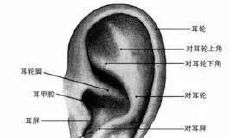 耳朵后长痣的女人面相(62岁属猪男人2023年每月运气)