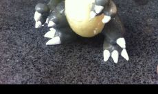 石太岁土太岁水的反应(太岁动土会发生什么事)