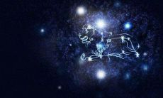 双子座的专属花朵(12星座谁最怕双子座)