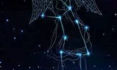 处女座的出生日期是几月几日(射手座出生日期)