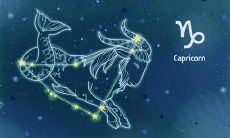 十二星座的详情(十二星座所有相关信息)