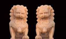 别墅大门口种什么花能旺财(家里养什么花好吸风水旺财)