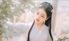 十二星座的灵魂守护神(十二星座的保护神)