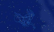 如何画摩羯座(画12星座少女)