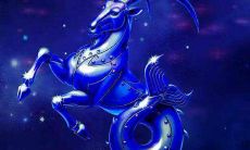 摩羯座为什么这么聪明(摩羯座聪明还是不聪明)