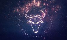 处女座和金牛座和么(金牛座和狮子座)