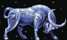 农历11月18日出生是什么星座(摩羯座有富贵命吗)