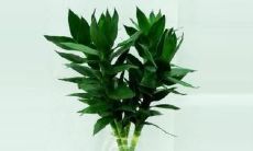 怎样才能招财最有效(最有效的招财转运方法)