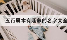 五行木火名字大全(五行属木火的字)
