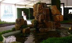 风水招财摆件不流水了(家里放什么最招财)