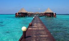 二十二画五行属木有哪些字(五行属木13画的字大全)