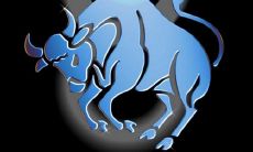 金牛座男生长什么样子(金牛座喜欢什么样的女生)