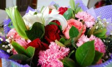 家里总有人哭这样会影响财运吗(家里老人动不动就哭会影响财运吗)