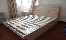 龙骨树的风水讲究(什么属相的人适合养龙骨)