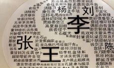 能招桃花运的名字(女人招桃花运的方法)