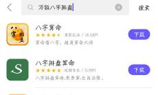 灵机八字排盘手机版(灵机妙算八字免费版)