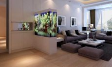 客厅中间摆什么聚财(客厅如何摆设旺财)