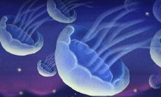 周公解梦大全查询梦见老朋友相见(周公解梦梦见涨大水)