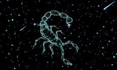 天蝎占有欲很强吗(天蝎对朋友占有欲很强)