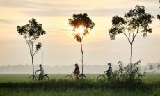 八字测学业方位(八字得令得相一览表)