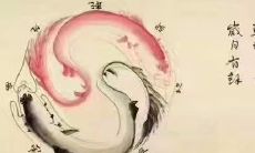 免费测名字生辰八字三通网(哪里可以免费测生辰八字)