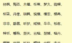 男孩取名用字大全带木(属猪的男孩取名带木)