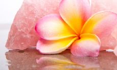 李姓女孩起名好听优雅(女孩子取名大全李姓)